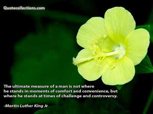 martin_luther_king_jr_quotes Quotes 2